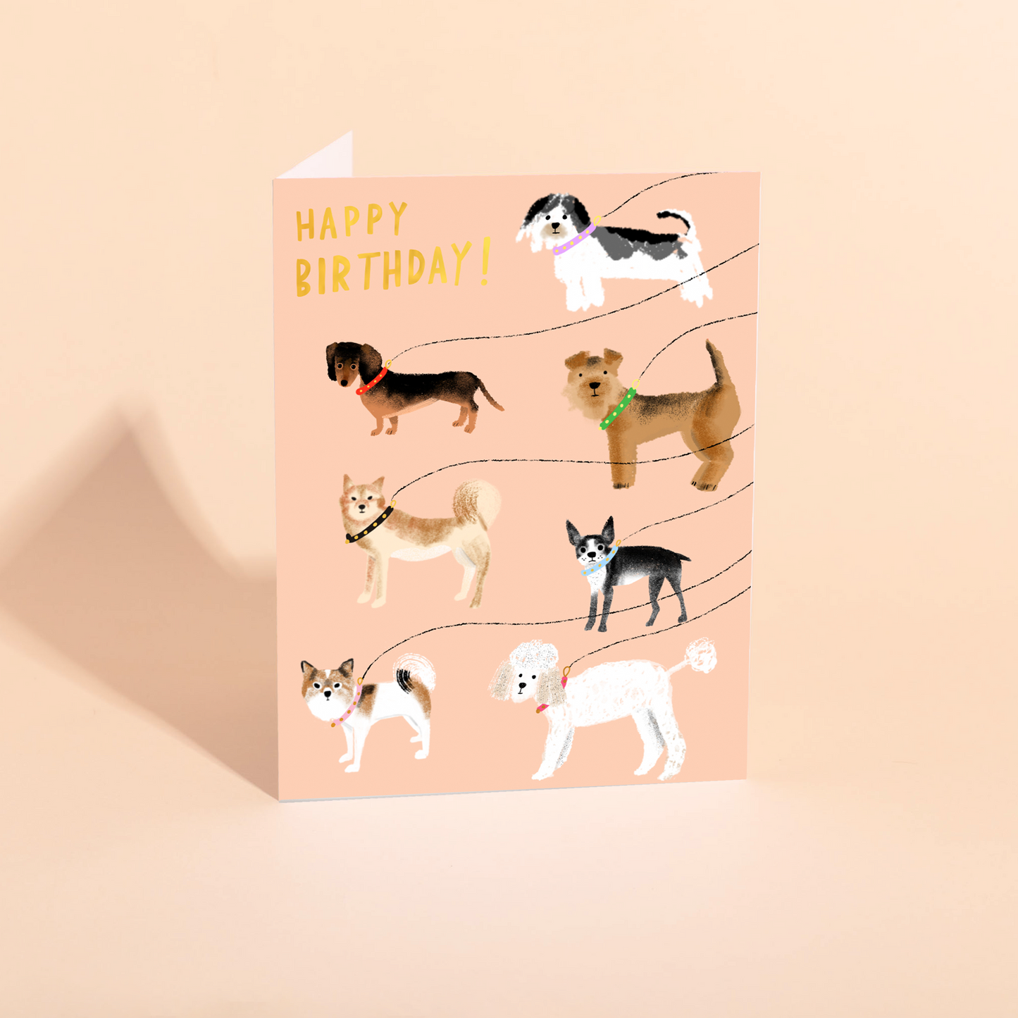 OUT FOR A WALK 2020 - Birthday Card
