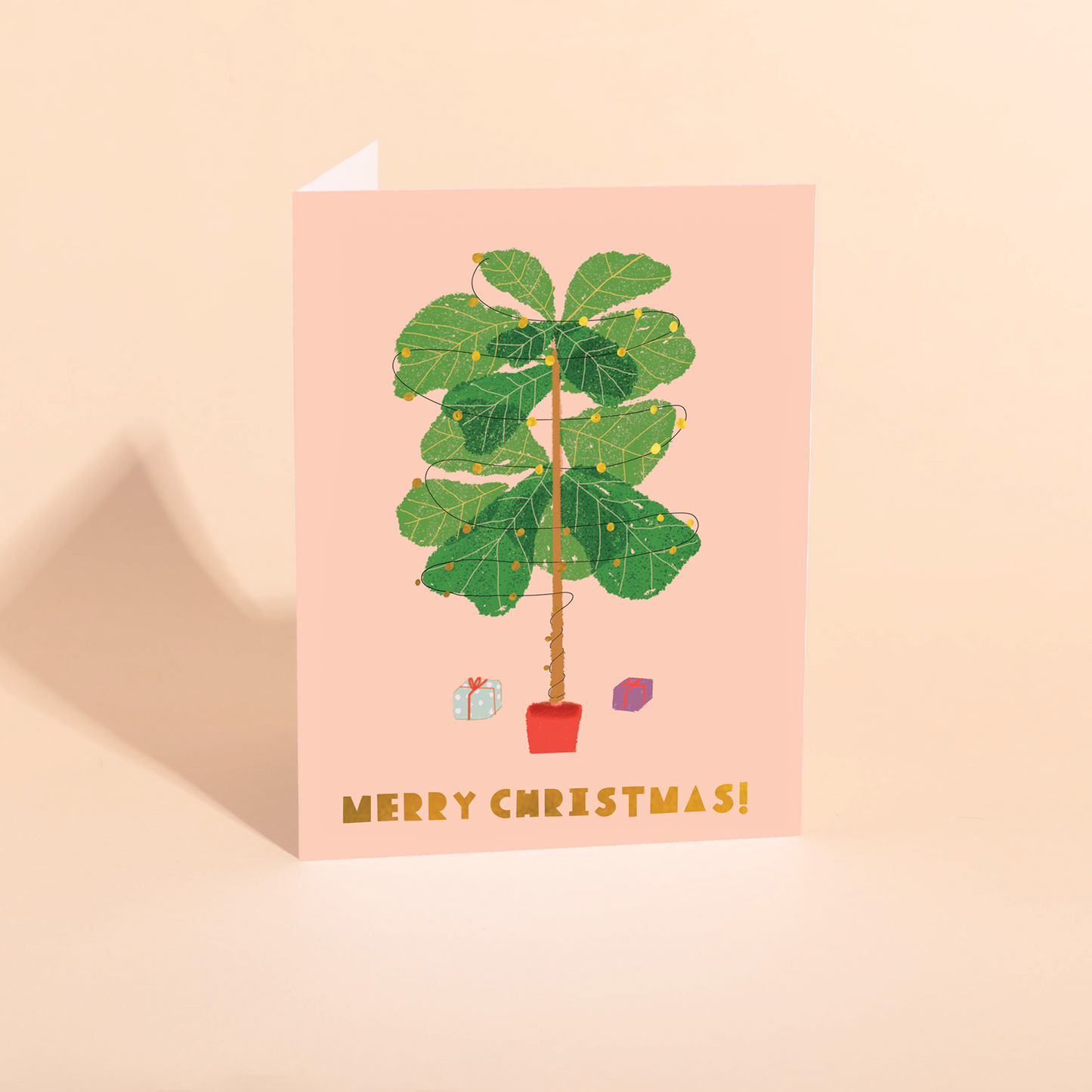 FICUS LYRATA - Holiday Card