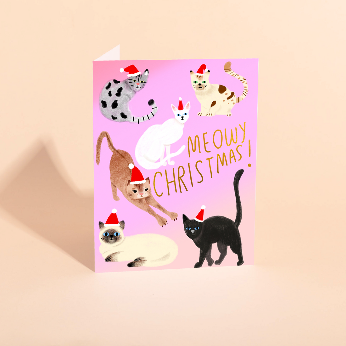 FELINE XMAS - Holiday Card