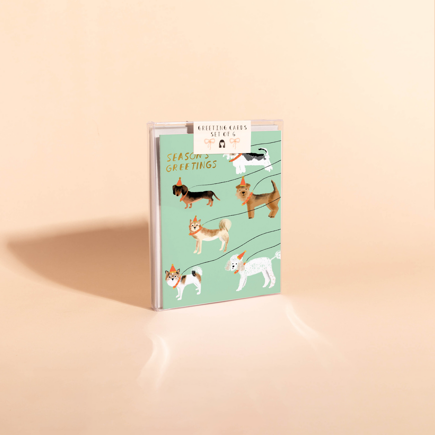 OUT FOR A WINTER WALK - Holiday Card Box Set of 6