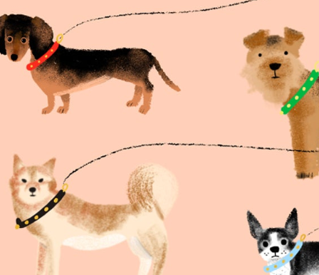 OUT FOR A WALK 2020 - Birthday Card