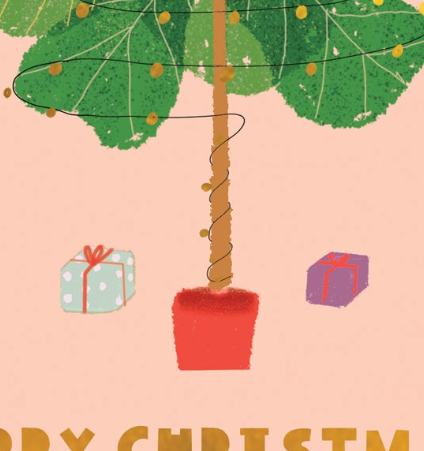 FICUS LYRATA - Holiday Card