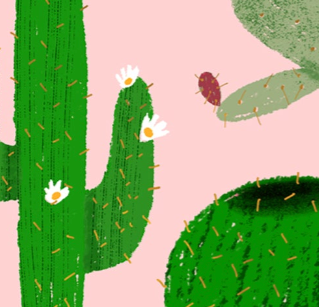 DESERT BIRTHDAY - Birthday Card