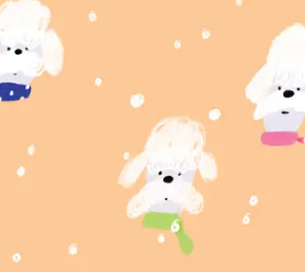 POODLE GREETINGS - Holiday Card Box Set of 6