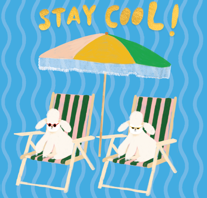 COOL POODLES - Birthday Card