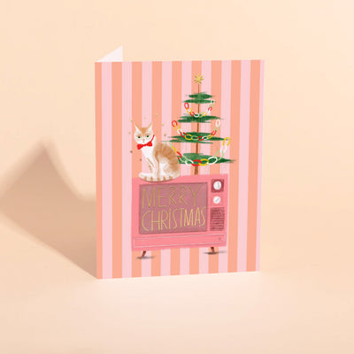 BEST SPOT IN THE HOUSE - Holiday Boxed Set of 6