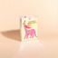 BRACHY WINTER - Holiday Card Box Set of 6