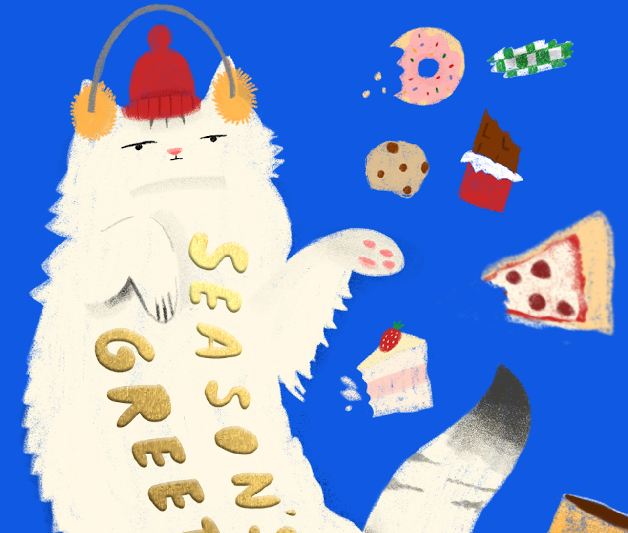 FULLY MAXED CAT - Holiday Card