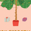 FICUS LYRATA - Holiday Card