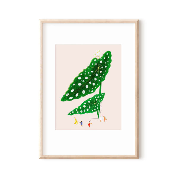Begonia Afternoon - Art Print