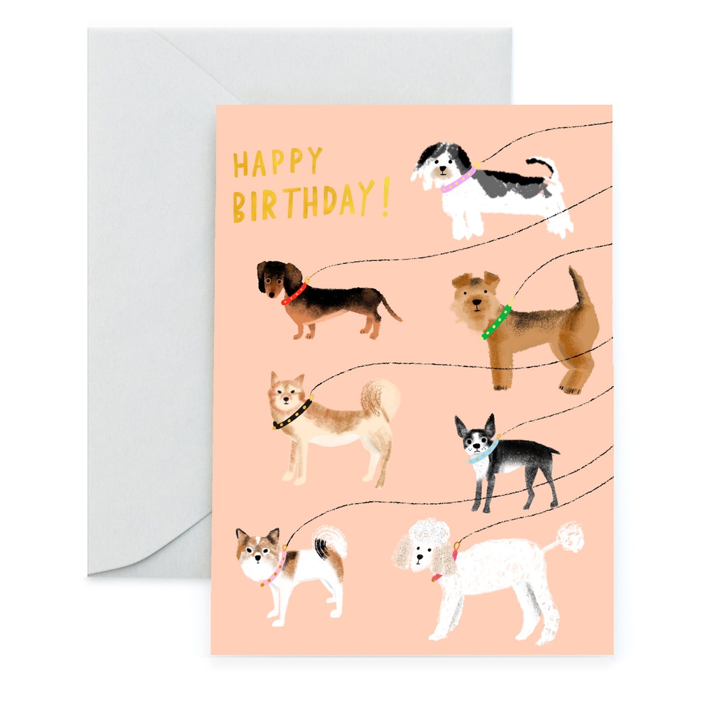 OUT FOR A WALK 2020 - Birthday Card