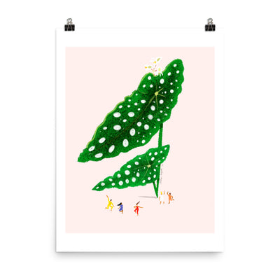 Begonia Afternoon - Art Print